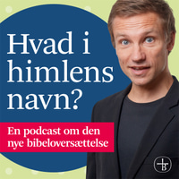 Hvad i himlens navn